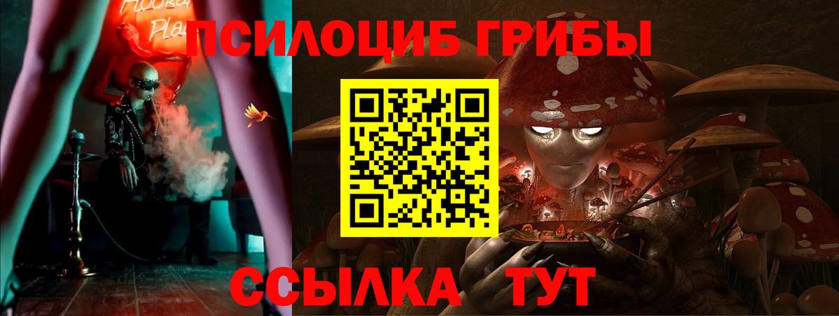 Псилоцибиновые грибы мицелий  Галлюциногенные грибы Psilocybe  Бердск  Вход с VPN 